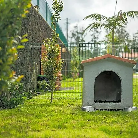 Parrots'village